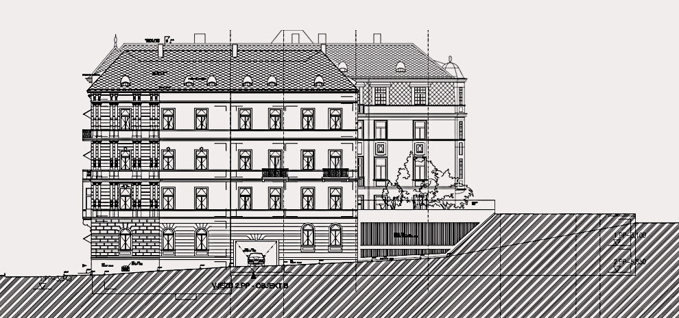 the developer 1